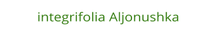integrifolia Aljonushka