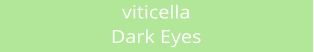 viticella Dark Eyes