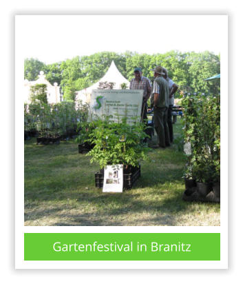 Gartenfestival in Branitz