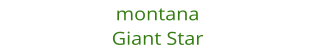 montana Giant Star
