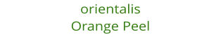 orientalis Orange Peel